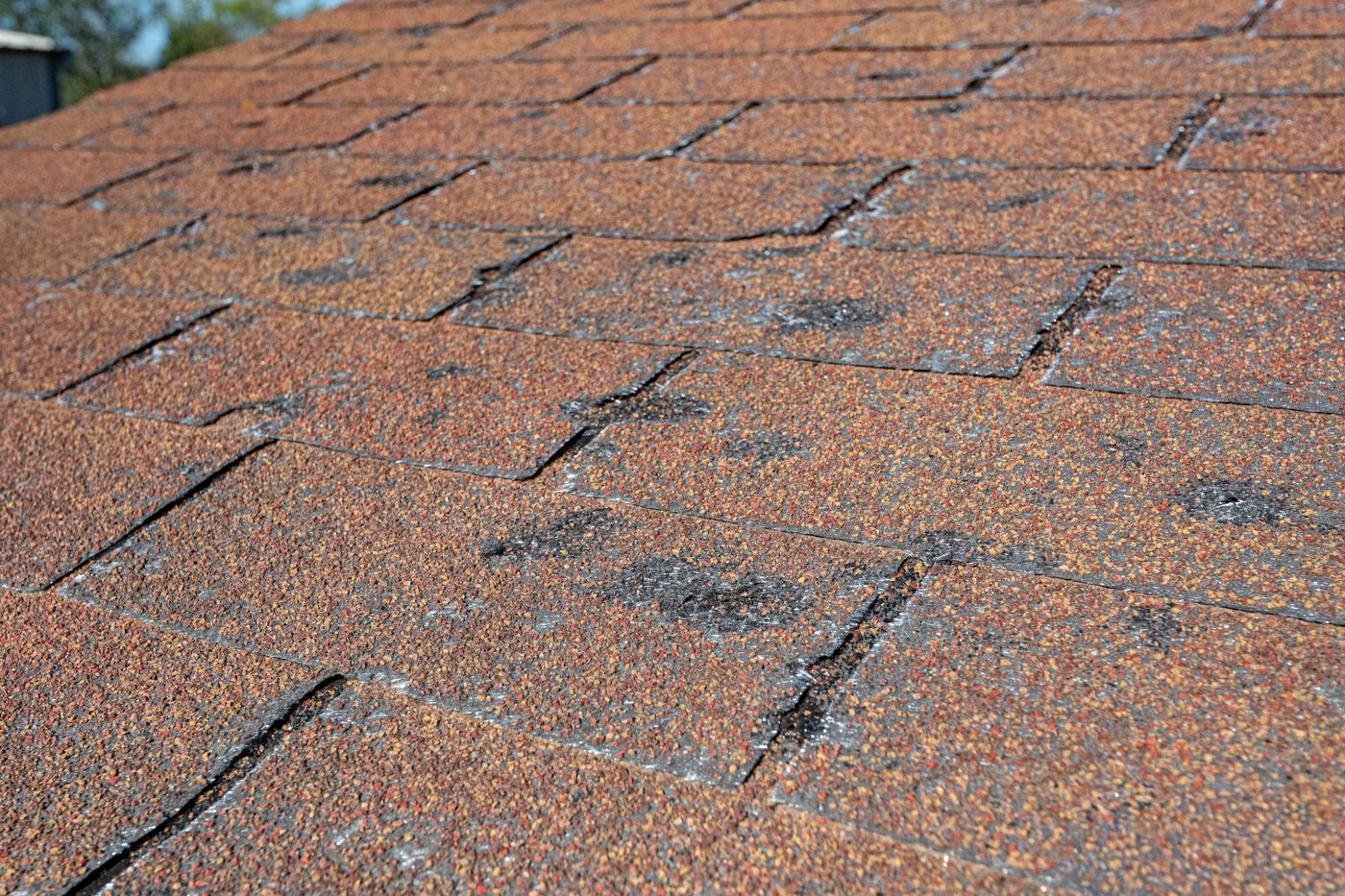 Close-up of localized granule loss on asphalt shingles